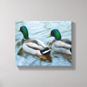 Mallard Ducks Canvas Afdruk (Voorkant)