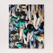 Mallard Ducks Embouteillage Jam Jigsaw Puzzle (Vertical)