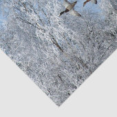 Mallard Ducks Flying Snow Foto Tissuepapier (Detail)