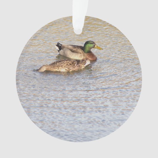 Mallard Ducks Foto Ornament (voorkant)
