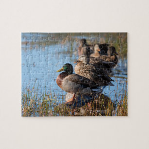 Mallard Ducks Legpuzzel