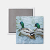 Mallard Ducks Magneet (Voorkant / Achterkant)