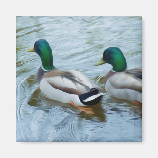 Mallard Ducks Magneet (Voorkant)
