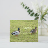 Mallard Ducks met African Proverb Briefkaart (Staand voorkant)