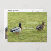 Mallard Ducks met African Proverb Briefkaart (Voorkant / Achterkant)