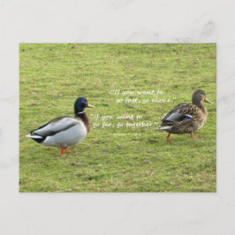 Mallard Ducks met African Proverb Briefkaart