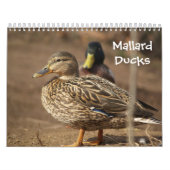 Mallard Ducks Natuur Agenda Kalender (Hoes)