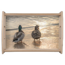 Mallard Ducks op Beach