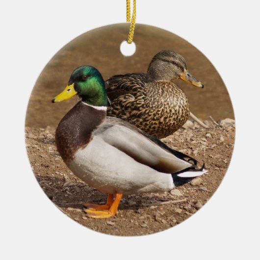 Mallard Ducks Ornament (Voorkant)