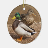 Mallard Ducks Ornament (Links)