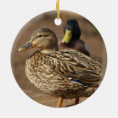 Mallard Ducks Ornament (Achterkant)