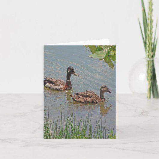 Mallard Ducks Photo Folded Note Kaart (Voorkant)