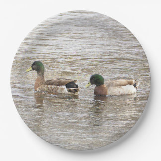 Mallard Ducks Photo Paper Plates Papieren Bordje