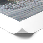 Mallard Ducks Photo Poster (Coin)