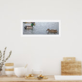 Mallard Ducks Photo Poster (Cuisine)