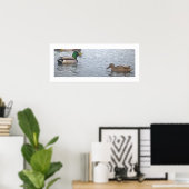 Mallard Ducks Photo Poster (Bureau à domicile)