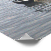 Mallard Ducks Photo Poster (Coin)