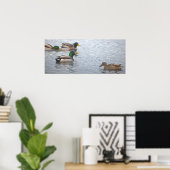 Mallard Ducks Photo Poster (Bureau à domicile)