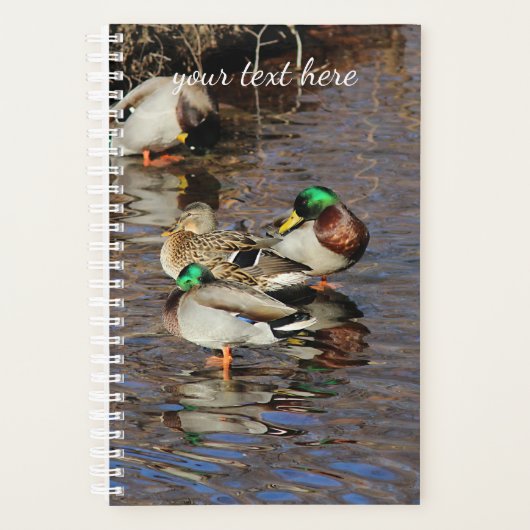 Mallard Ducks Planner (Voorkant)