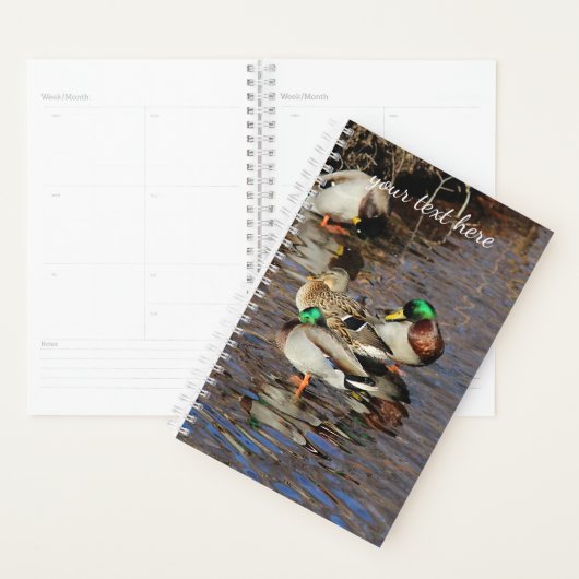 Mallard Ducks Planner (Display)