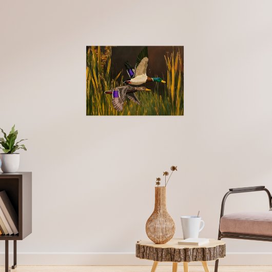 Mallard Ducks Poster (Woonkamer 3)