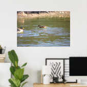 Mallard Ducks Poster (Thuiskantoor)