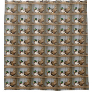 Mallard Ducks Shower Curtain Douchegordijn