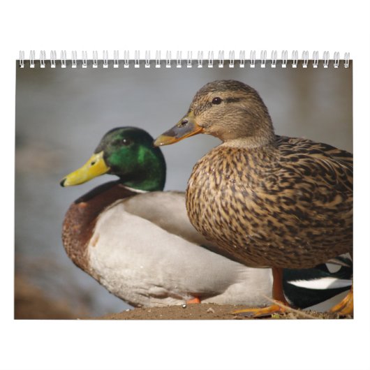 Mallard Ducks Sportsmen Agenda Kalender (Hoes)