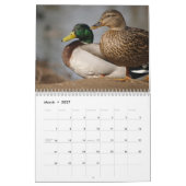 Mallard Ducks Sportsmen Agenda Kalender (Mar 2027)