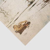 Mallard Ducks Tissue Paper Tissuepapier (Detail)