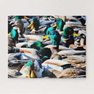 Mallard Ducks Traffic Jam Jigzaag Puzzle Legpuzzel