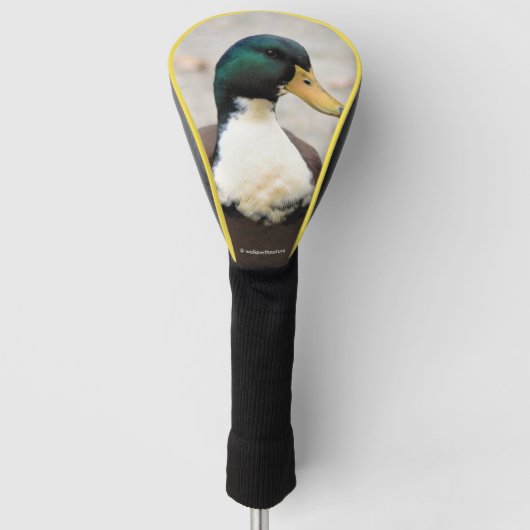 Mallard Duclair Bibbed Odd Duck Golfheadcover (Voorkant)
