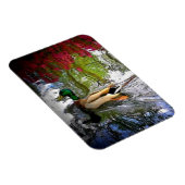 Mallard eend Magnet-Design 2 Magneet (Rechterzijde)