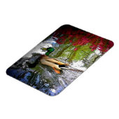Mallard eend Magnet-Design 2 Magneet (Linkerzijde)