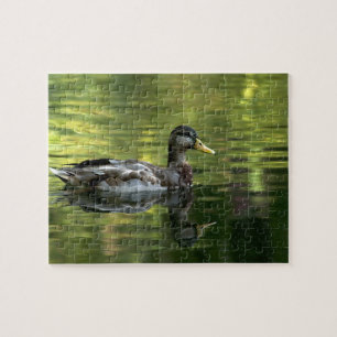 Mallard gespiegeld op groen water legpuzzel