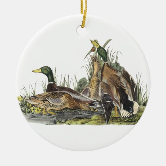 Mallard, John Audubon Keramisch Ornament (Voorkant)