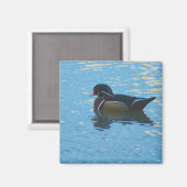 Mallard Magnet (Recto/Verso)