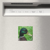 Mallard Magnet Magneet (Insitu (Vaatwasser))