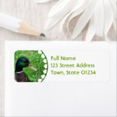 Mallard Mailing Label (Insitu)