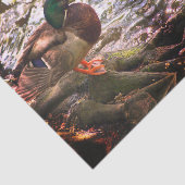 Mallard Mirror Tissuepapier (Detail)