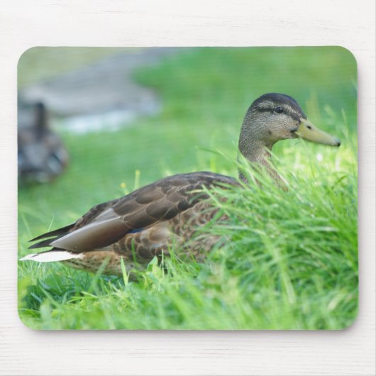Mallard Mousepad Muismat (Voorkant)