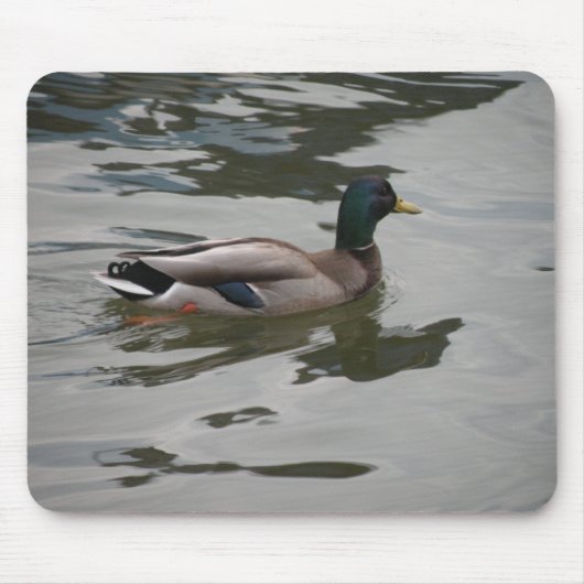 Mallard Mousepad Muismat (Voorkant)