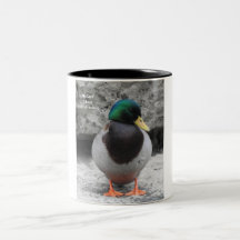 Mallard Mug 