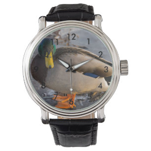 Mallard op ijs horloge