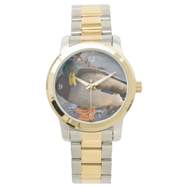 Mallard op ijs horloge (Voorkant)