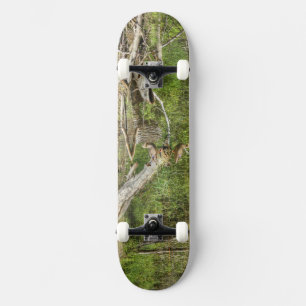 Mallard op Pond Skateboard