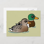 Mallard Pair Briefkaart (Voorkant / Achterkant)