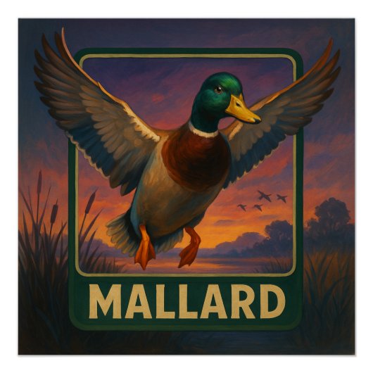 Mallard Poster Perfect Poster (Voorkant)