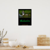 Mallard-startPoster Poster (Keuken)