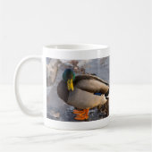 Mallard Sur La Mug De Café Glaciaire (Gauche)
